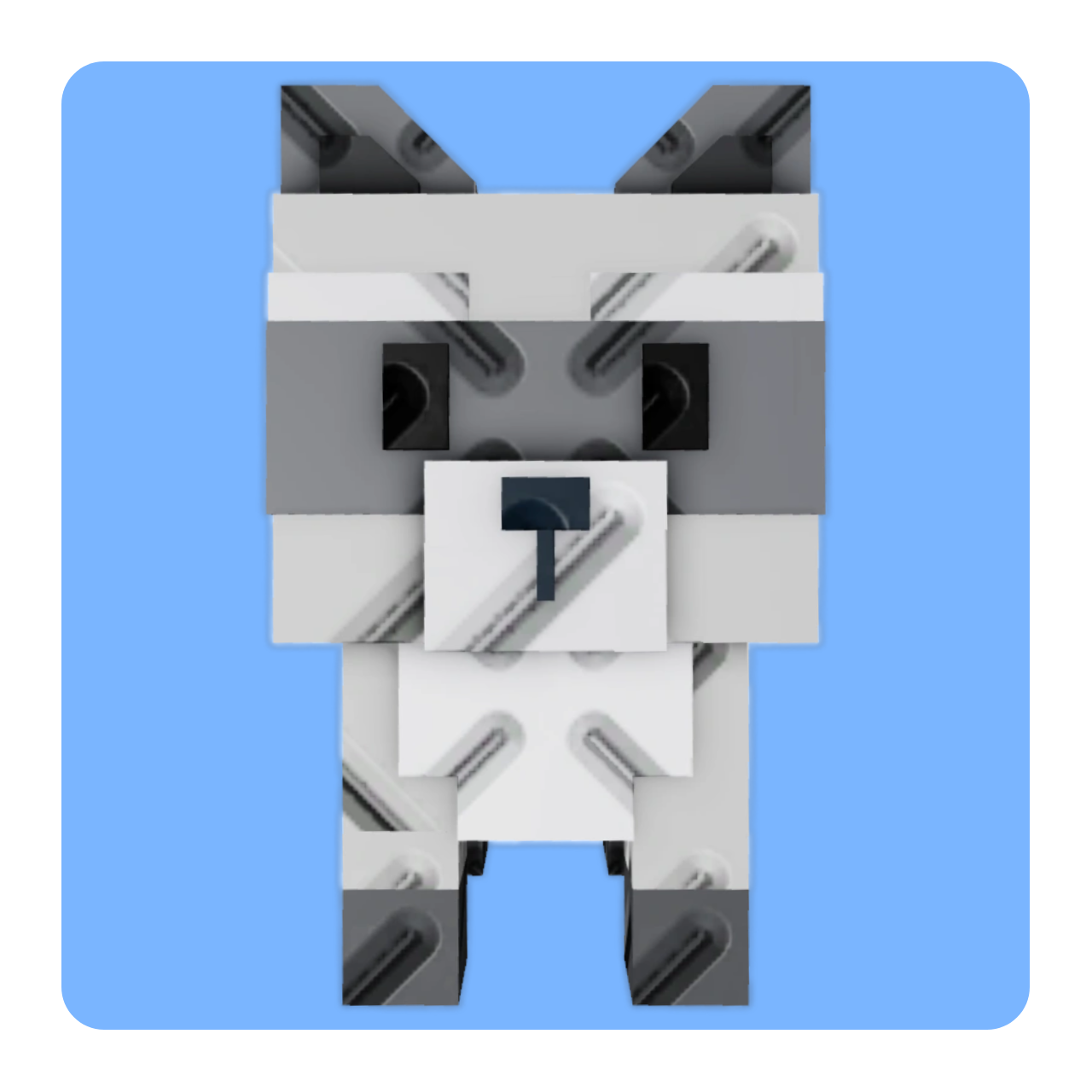 Raccoon
