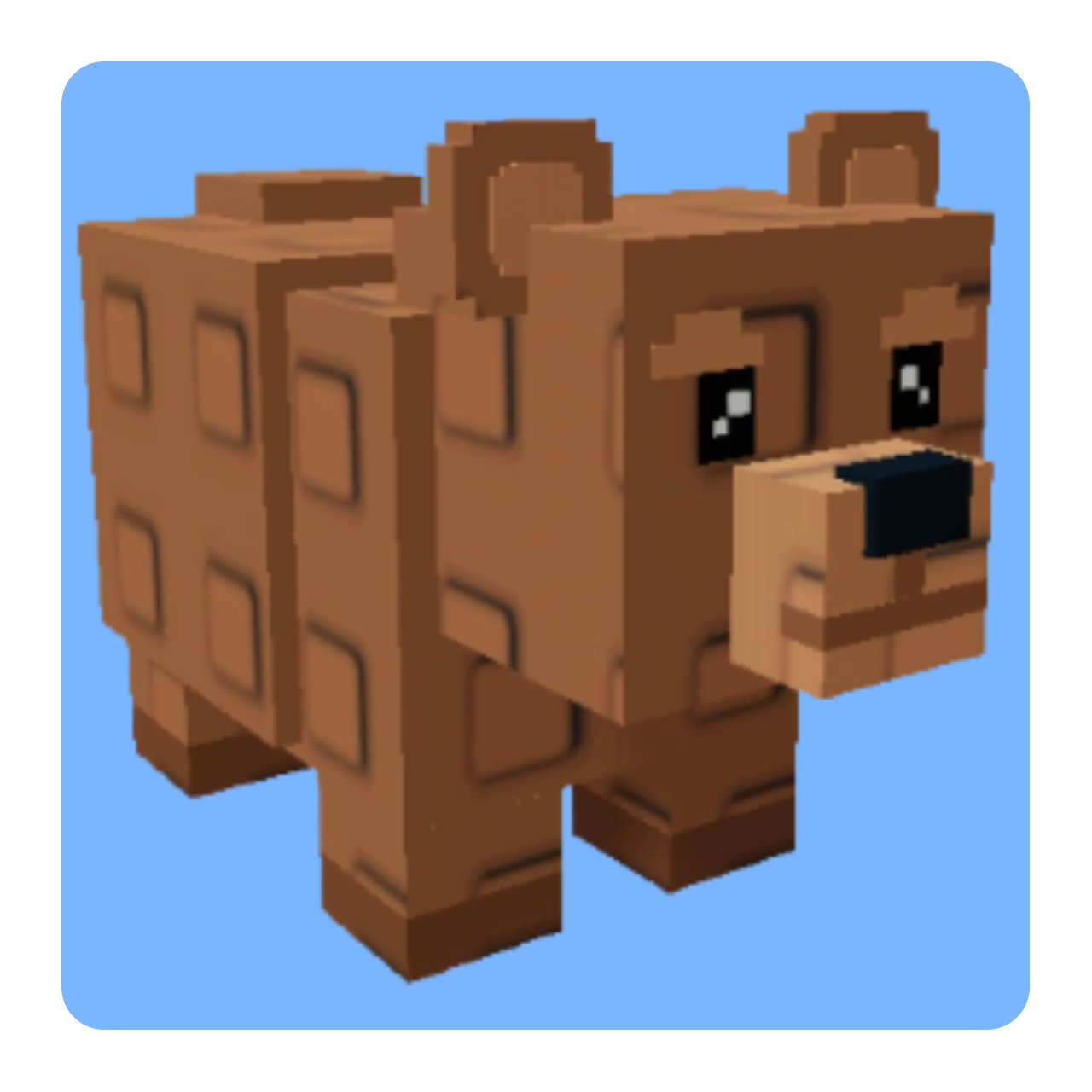 Bear
