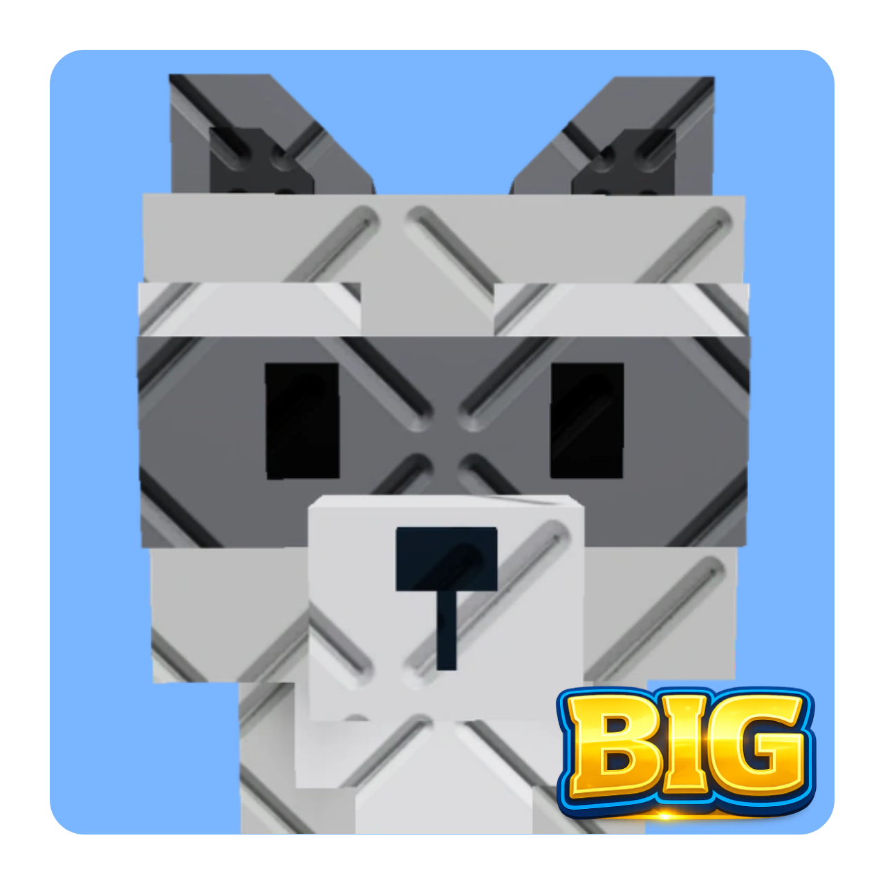 Big Raccoon