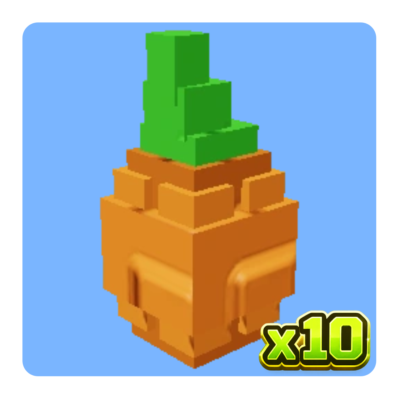 x10 Atlantic Giant Pumpkin