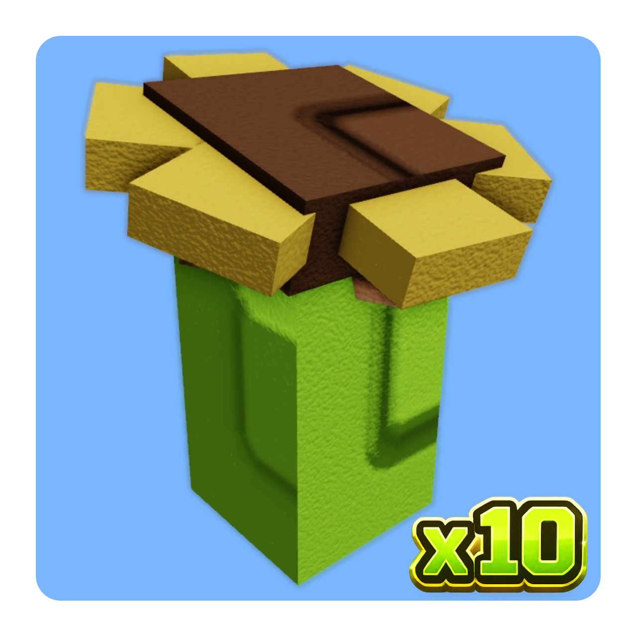 x10 Sunflower