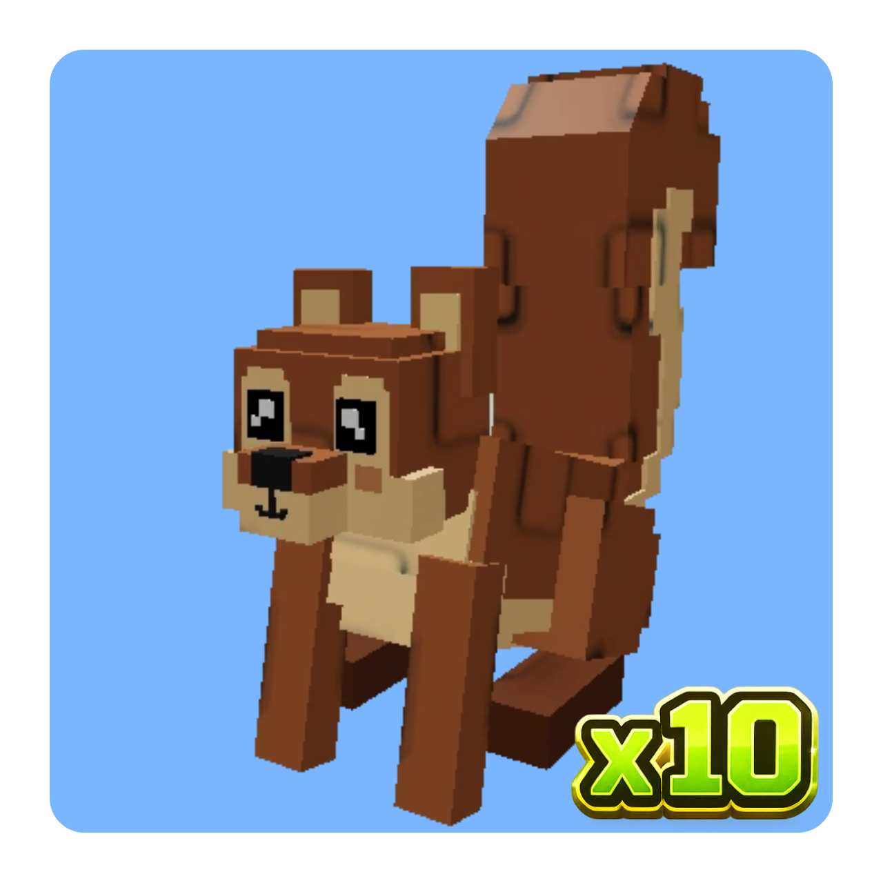 x10 Squirrel