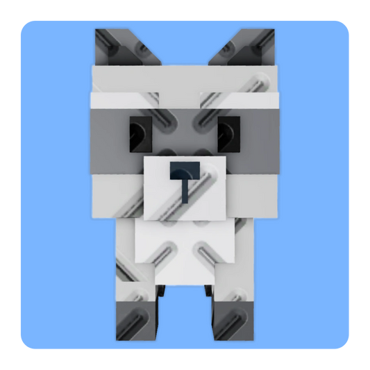 Raccoon