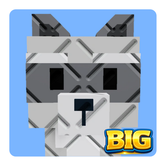 Big Raccoon