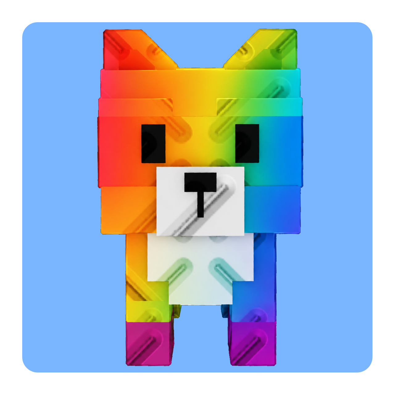 Rainbow Raccoon