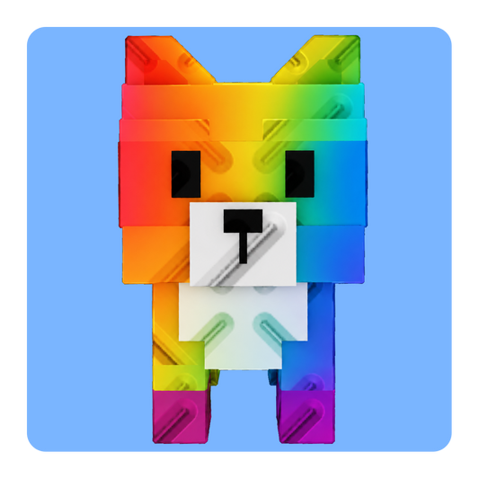 Rainbow Raccoon
