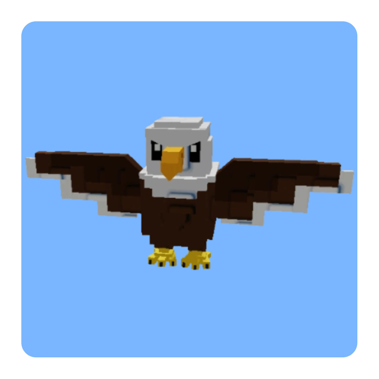 Bald Eagle