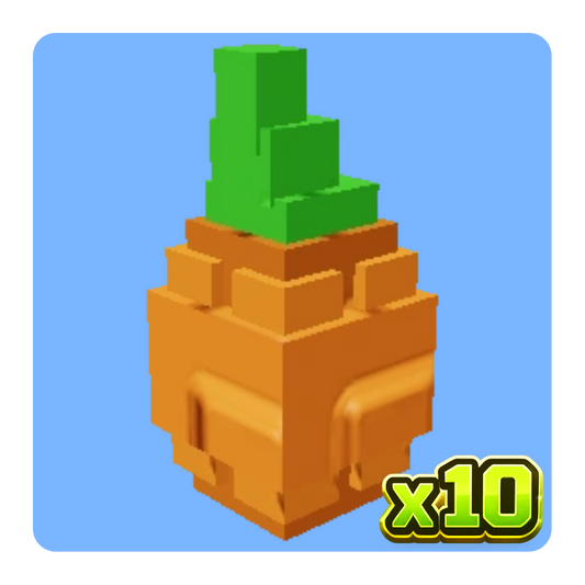 x10 Atlantic Giant Pumpkin