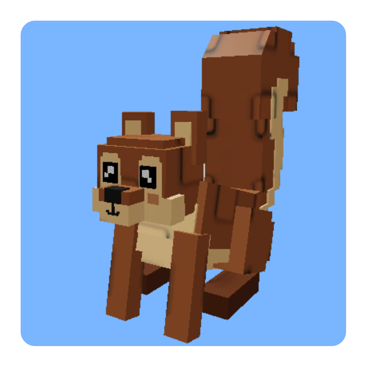 Squirrel