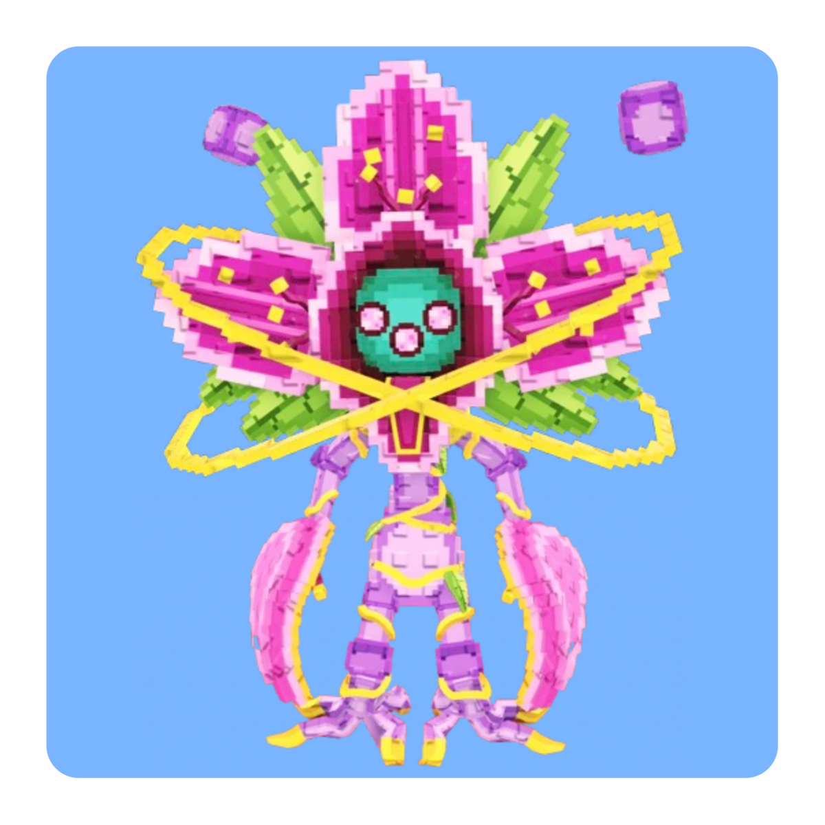 Orchidox