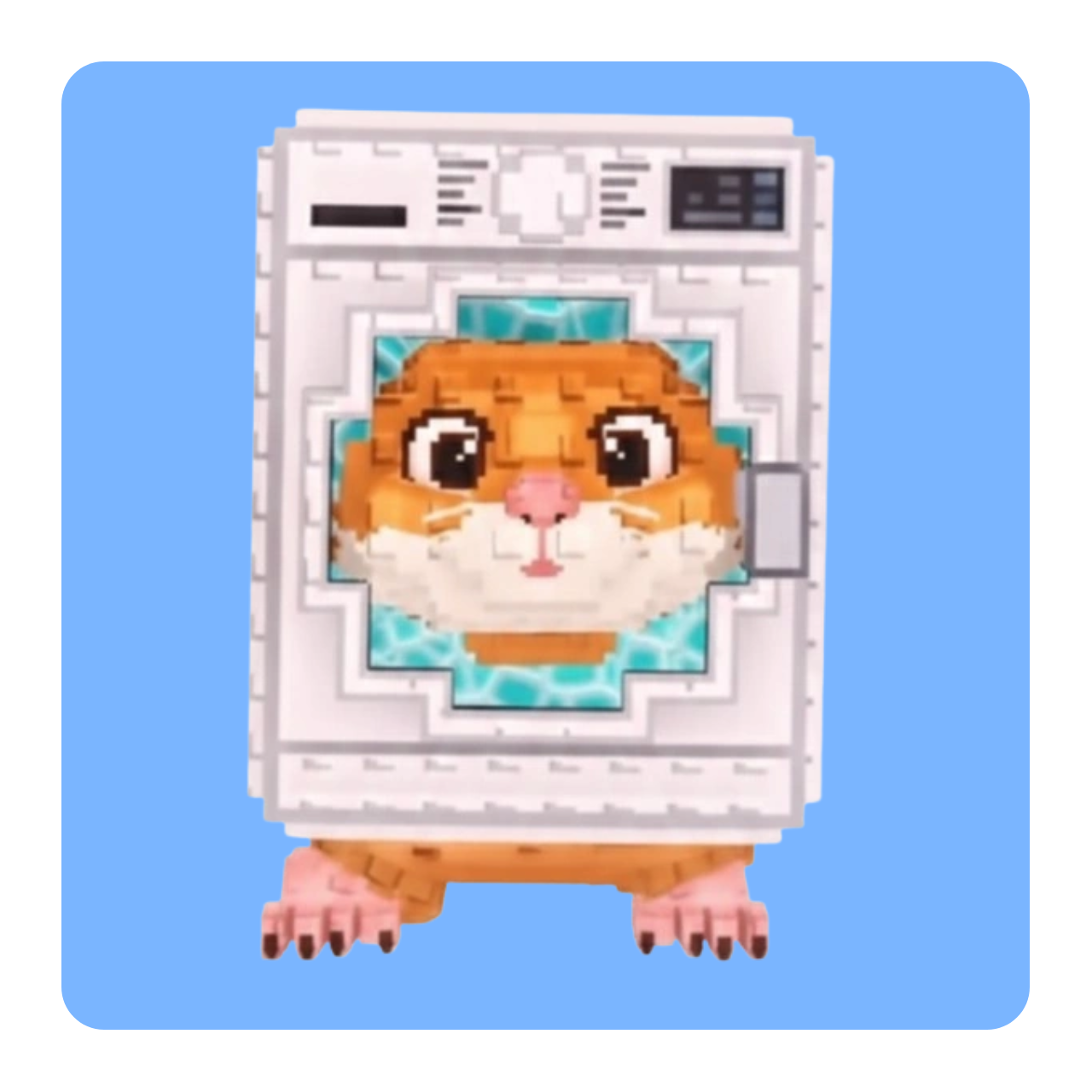 Spinny Hammy